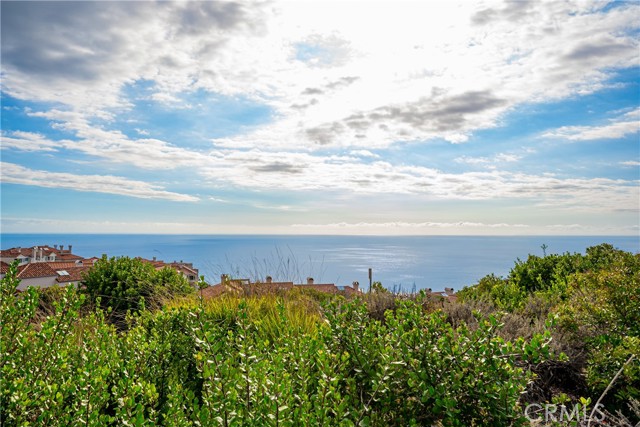 Walking and hiking trails