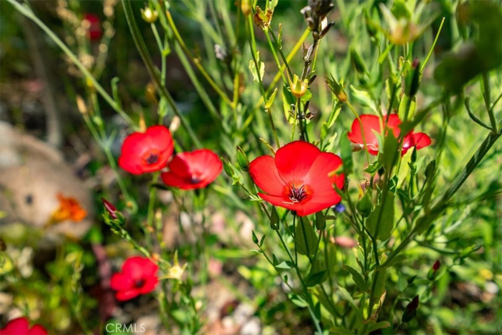 https://media.crmls.org/medias/4120d73e-5f09-4d34-aeda-440cfdd5da6d.jpg?preset=X-Large