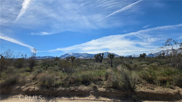Detail Gallery Image 13 of 50 For 0 Fort Tejon Rd Vicinity 181st St E, Llano,  CA 93544 - – Beds | – Baths