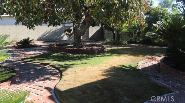 8821 Shenandoah photo 22