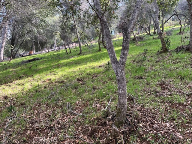 Detail Gallery Image 7 of 9 For 8444 Soda Bay Rd, Kelseyville,  CA 95451 - – Beds | – Baths