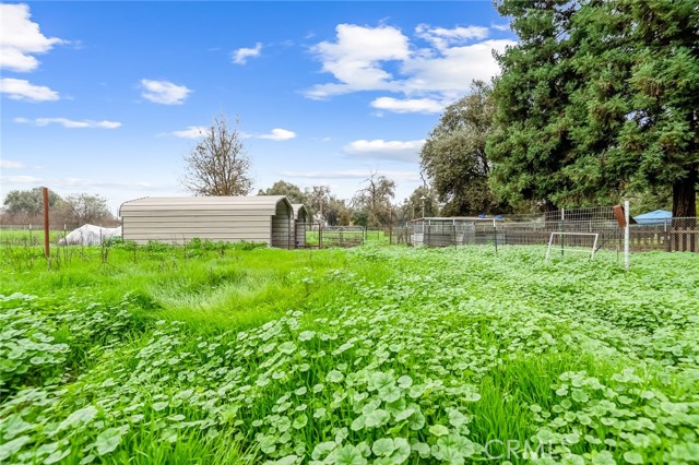 18701 Lort Drive, Visalia CA: https://media.crmls.org/medias/4125a786-6214-4db9-bc6b-34982885774b.jpg