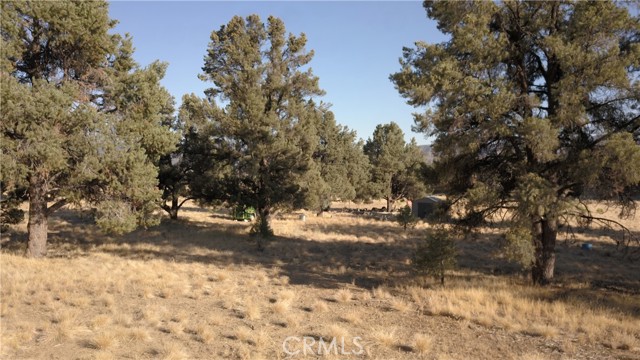 16469 Curtis Trail, Frazier Park CA: https://media.crmls.org/medias/4125bffc-bd4f-43b0-badc-b382612f22e5.jpg