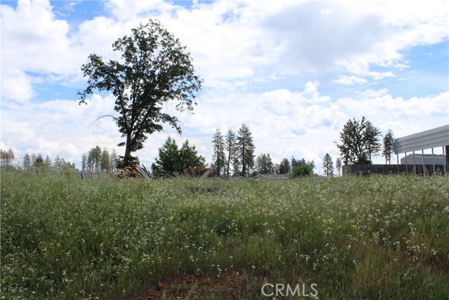 Image 8 of 12 For 6096 Cliff  