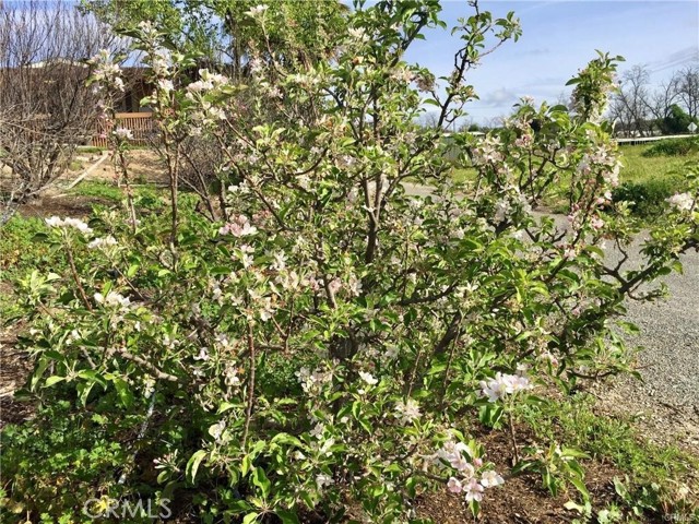 Detail Gallery Image 35 of 37 For 12120 Stockton Rd, Moorpark,  CA 93021 - 4 Beds | 2 Baths