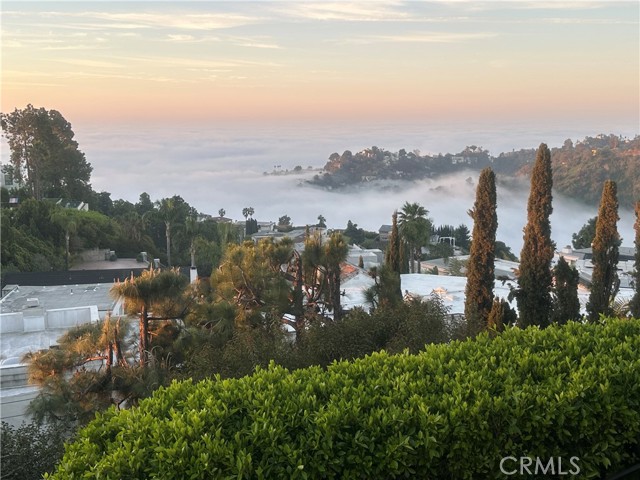 Detail Gallery Image 198 of 200 For 7930 Vulcan Dr, Los Angeles,  CA 90046 - 7 Beds | 8/1 Baths