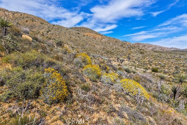 Detail Gallery Image 64 of 75 For 8500 S Samel Rd, Morongo Valley,  CA 92256 - 1 Beds | 1 Baths