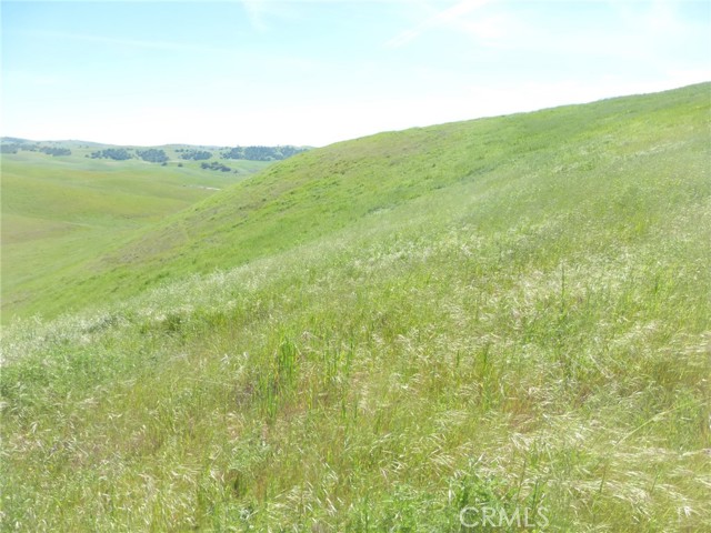 Detail Gallery Image 24 of 51 For 0 Douglas Rd. (Lot 33), San Miguel,  CA 93451 - – Beds | – Baths