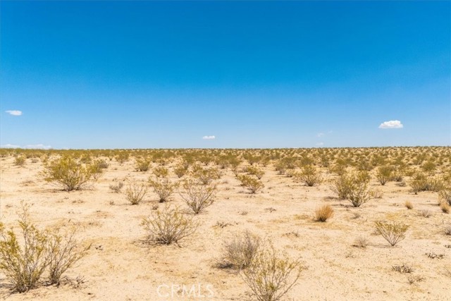 MLS #JT25263725 image #6