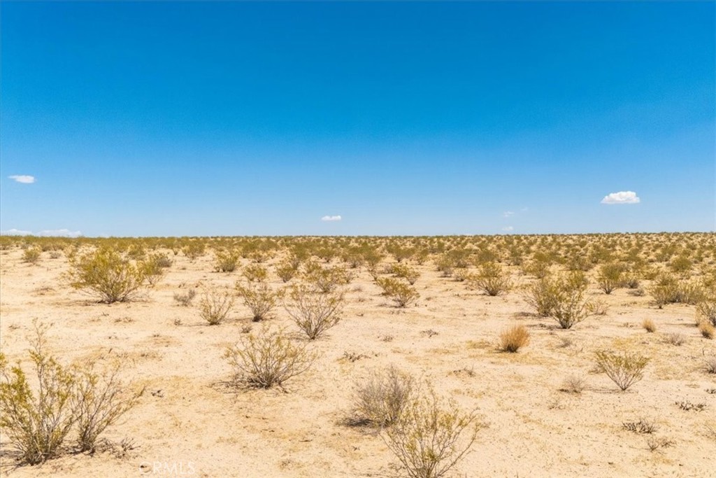 MLS #JT25263725 image #6