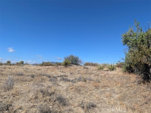 Front Image Thumbnail for CRSW26224735