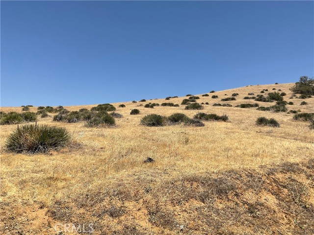 Detail Gallery Image 2 of 8 For 0 Oak View Ln, Caliente,  CA 93518 - – Beds | – Baths