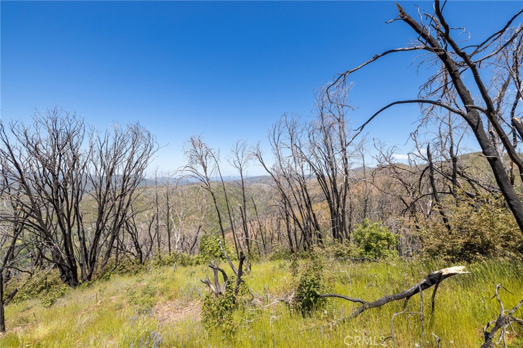 MLS #MP25088475 image #57
