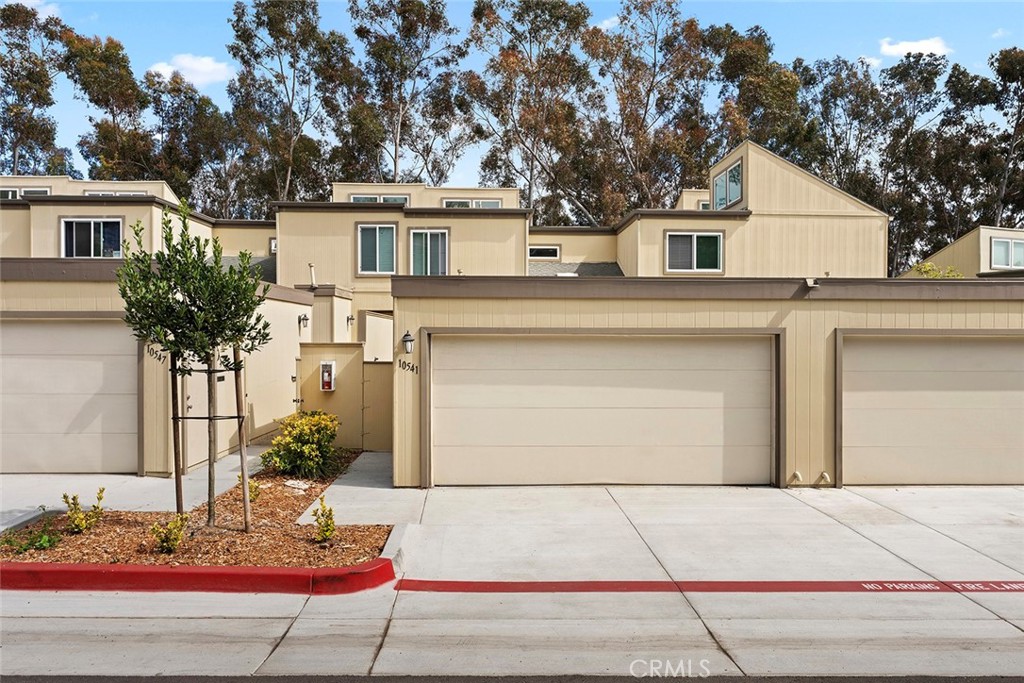 10541 Caminito Basswood - photo 3