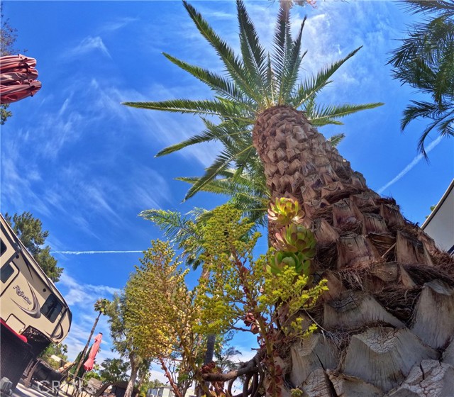 Detail Gallery Image 7 of 16 For 45525 Highway 79 Lot 2, Aguanga,  CA 92536 - – Beds | – Baths