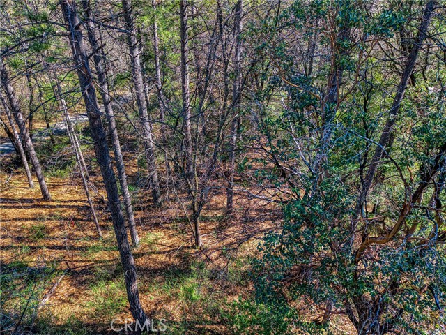 Detail Gallery Image 12 of 19 For 15347 Western Mine, Middletown,  CA 95461 - – Beds | – Baths