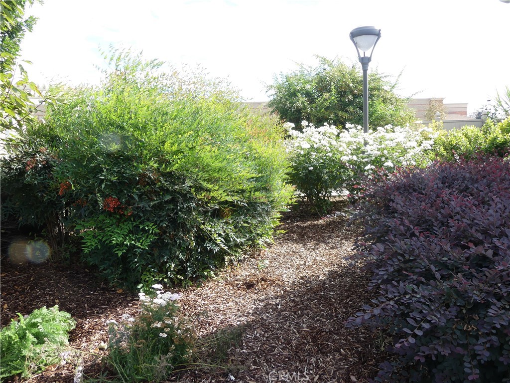 MLS #AR25198460 image #28