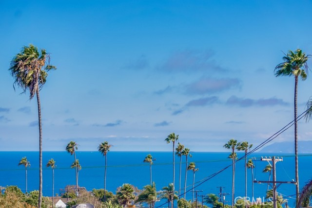1754 Perch Street, San Pedro CA: https://media.crmls.org/medias/41659795-6780-4bf4-878e-0c8a4e456e18.jpg