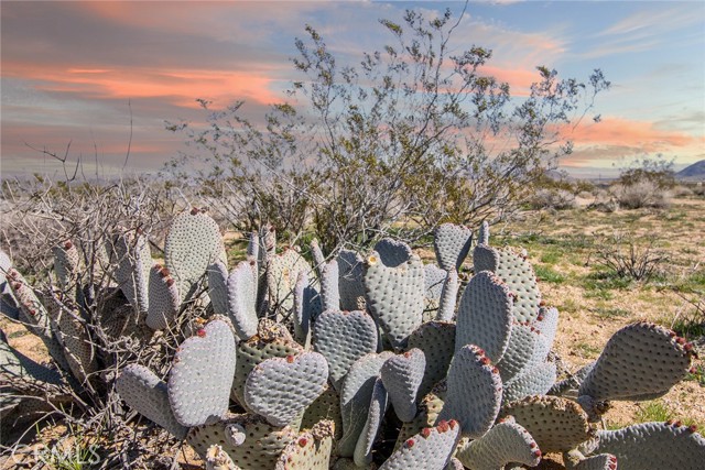 Detail Gallery Image 15 of 18 For 55875 Desideria Dr, Landers,  CA 92285 - – Beds | – Baths