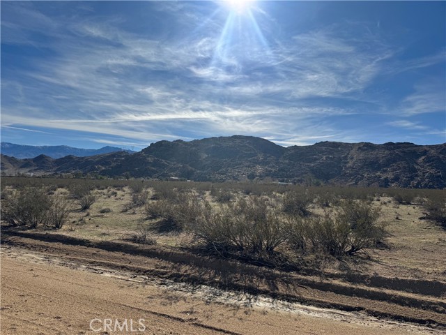 Detail Gallery Image 4 of 10 For 0 Cove Rd, Lucerne Valley,  CA 92356 - – Beds | – Baths