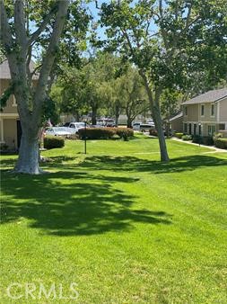 1638 Larch