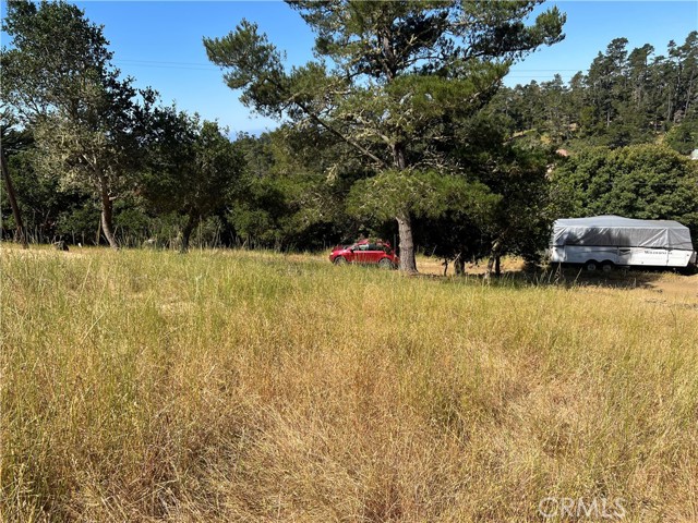 Detail Gallery Image 5 of 7 For 0 Pierce, Cambria,  CA 93428 - – Beds | – Baths