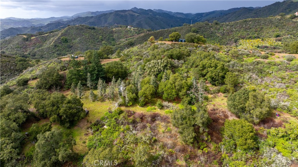 3395 Wallace Mountain Road