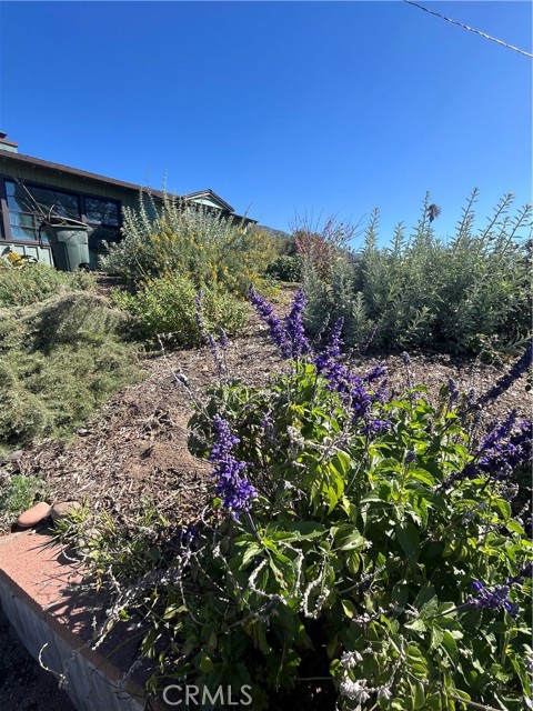 Detail Gallery Image 21 of 21 For 147 Las Flores, Altadena,  CA 91001 - 3 Beds | 1 Baths