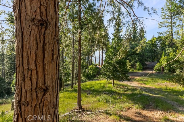 Detail Gallery Image 47 of 55 For 64 Rebie Way, Oroville,  CA 95966 - 3 Beds | 3 Baths