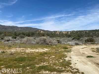 15 Old Forest Road, Anza, CA, 92539 15 Old Forest Road, Anza, CA, 92539