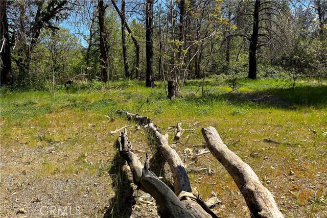 Detail Gallery Image 24 of 29 For 21138 Big Oak Ln, Lakehead,  CA 96051 - – Beds | – Baths