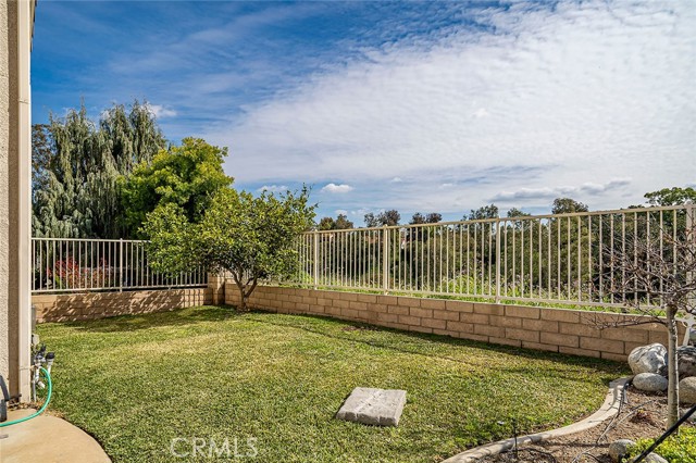 Fruit tree and grassy area