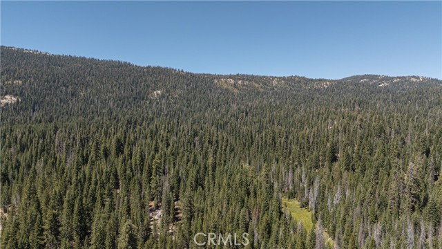 67922 Beasore Road, Bass Lake CA: https://media.crmls.org/medias/419496f8-7108-4fad-943b-018d7be6d622.jpg
