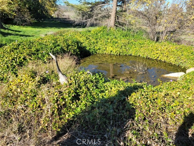 Detail Gallery Image 36 of 38 For 59300 Norman Hills Rd, Anza,  CA 92539 - 2 Beds | 1 Baths