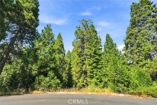 Front Image Thumbnail for CRPI26182775