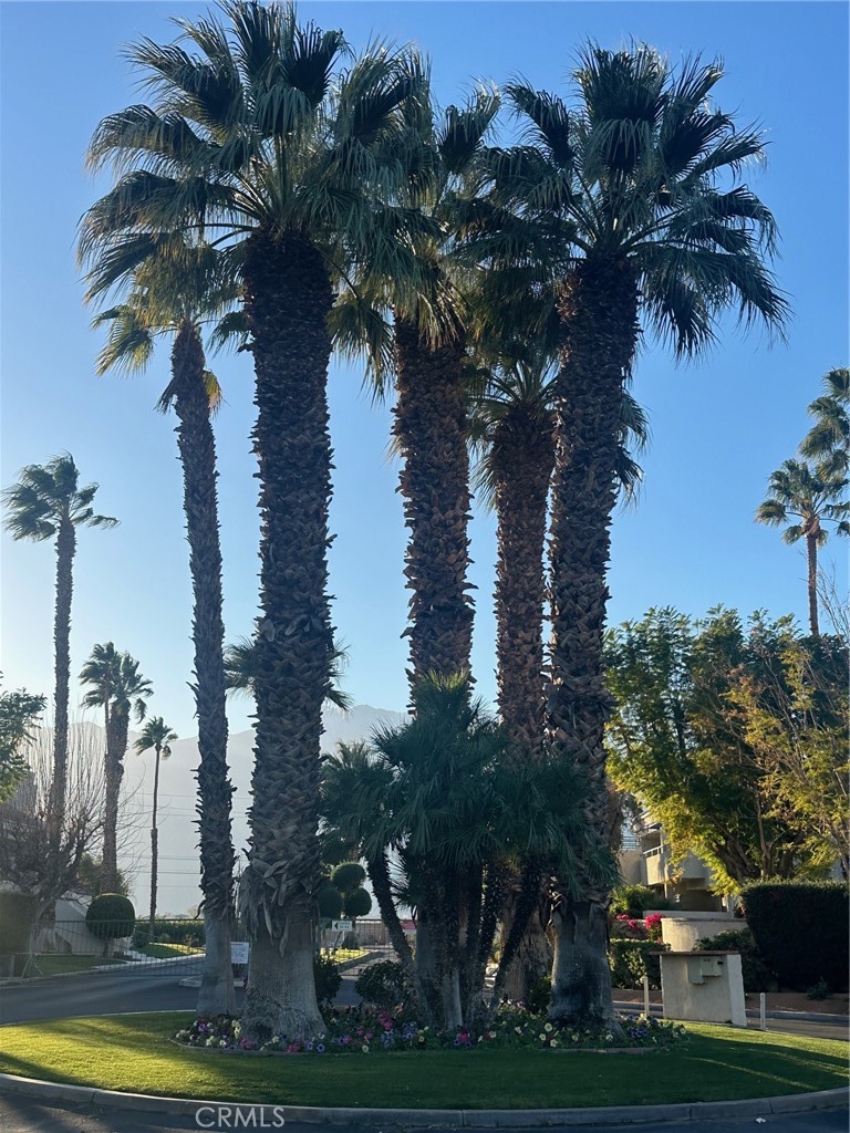 https://media.crmls.org/medias/419cc051-1537-484b-ba76-78bdd06b9727.jpg?preset=X-Large