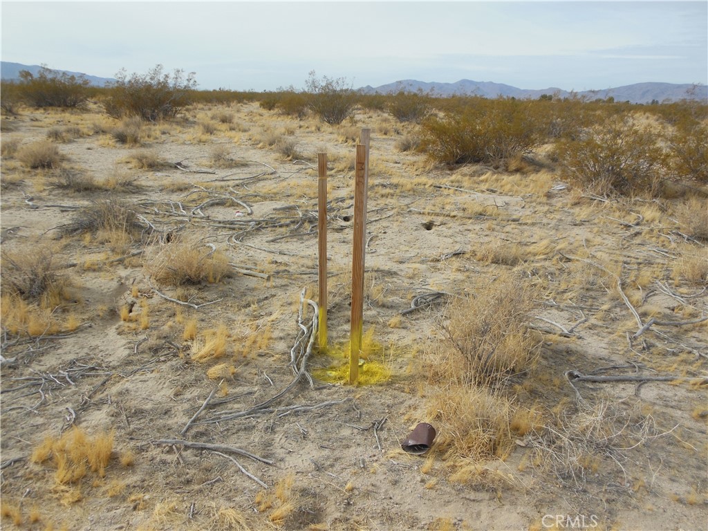 MLS #OC25175074 image #6