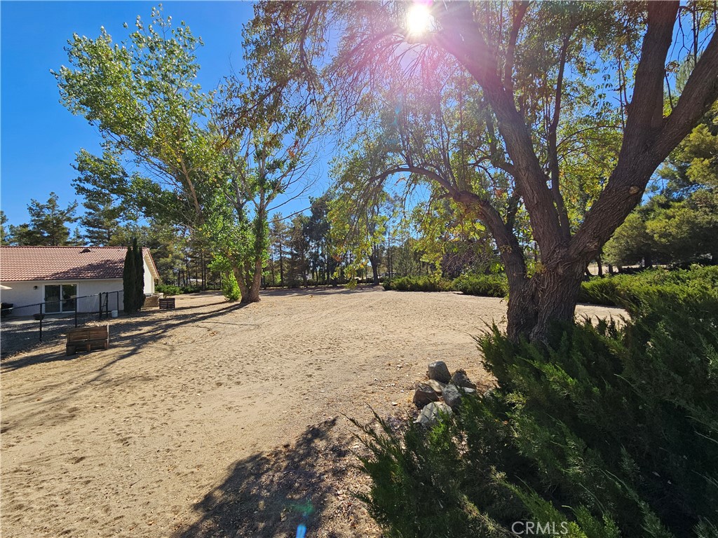 https://media.crmls.org/medias/419e8b19-7874-4266-be02-84bb8c043ed0.jpg?preset=X-Large