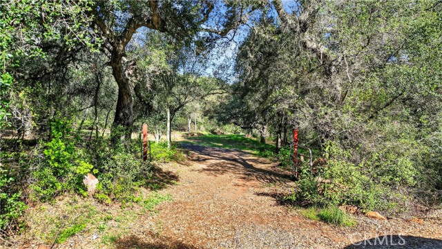 0 Avenida Perla Bonita, Murrieta CA: https://media.crmls.org/medias/41a37fc4-008b-47de-a2e0-b49b5e6dadf6.jpg