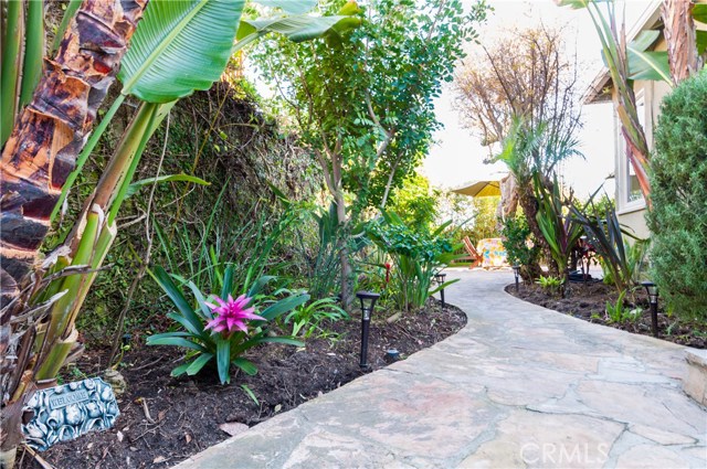 Fruit Trees Including Pomegranate, Orange, Ornamental Banana, and a Pineapple Plant!