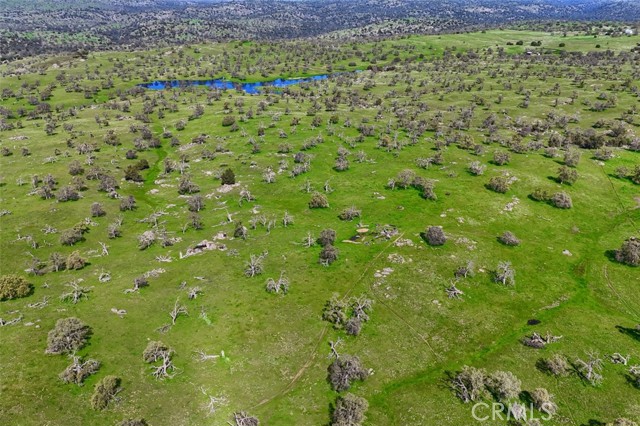 Detail Gallery Image 7 of 19 For 0 39.89 Ac Road 613, Raymond,  CA 93653 - – Beds | – Baths