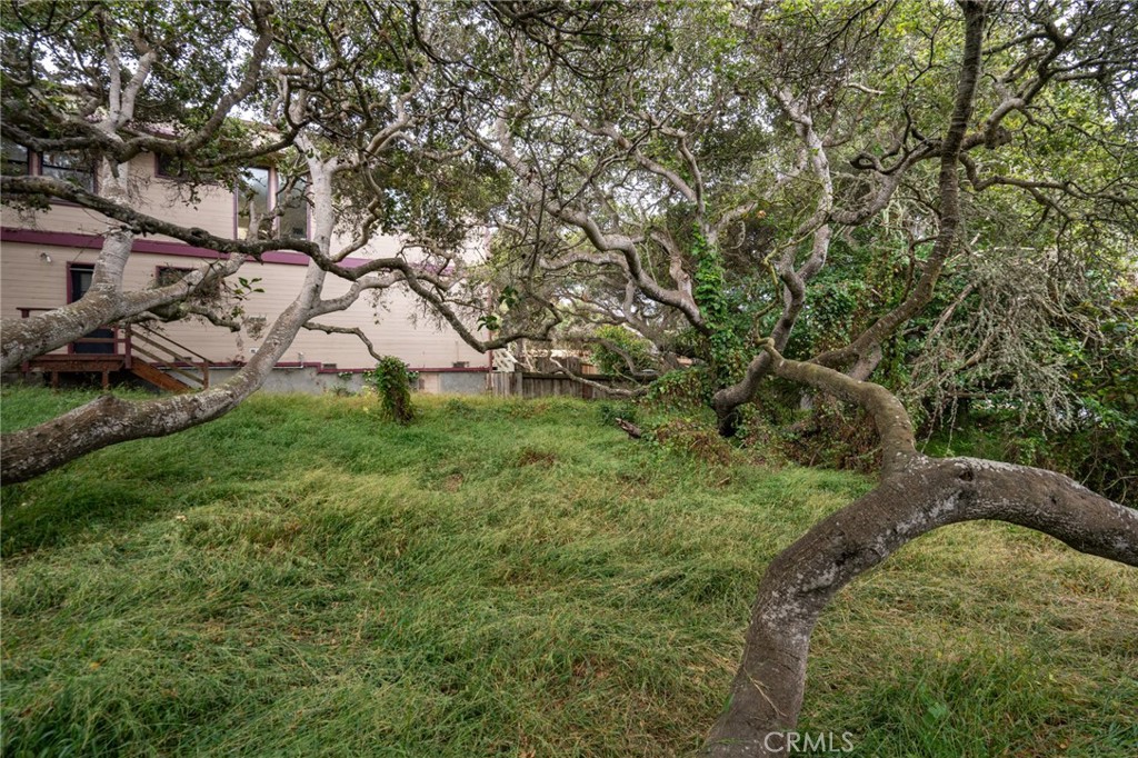 MLS #SC25145989 image #10