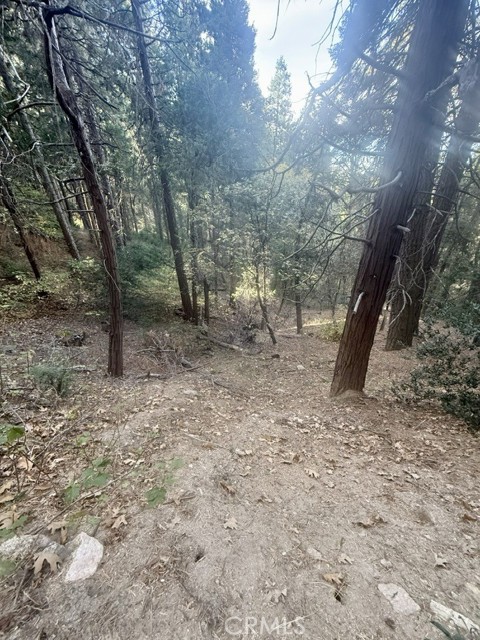 61 Lot - El Valle Road, Cedarpines Park CA: https://media.crmls.org/medias/41a6e4f9-a4c1-4d1c-a1ac-c817446cc4a0.jpg