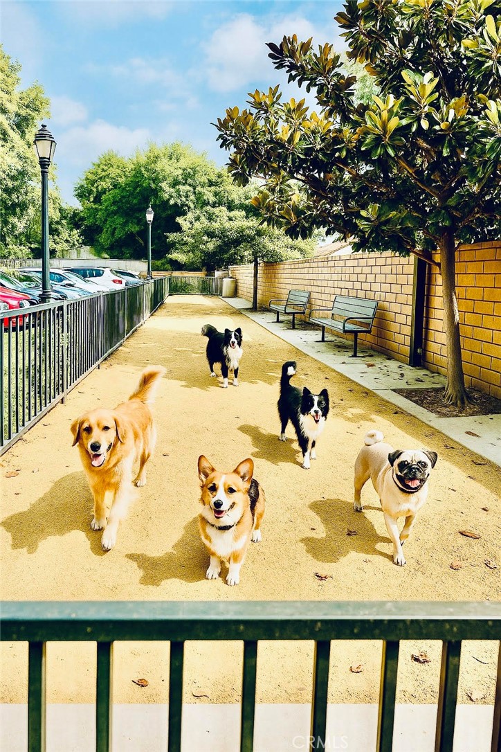https://media.crmls.org/medias/41a6edba-d5a9-45d5-af86-3567a7721d1f.jpg?preset=X-Large