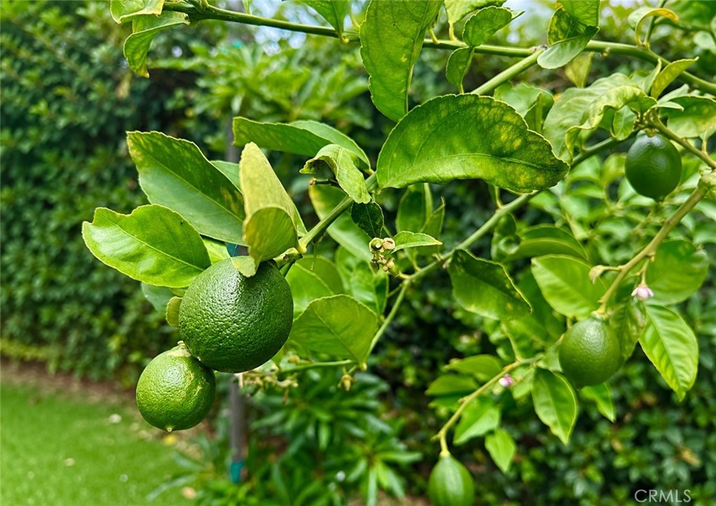https://media.crmls.org/medias/41ad8749-04f1-494c-9bd9-963802ded099.jpg?preset=X-Large