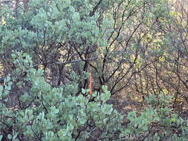 Detail Gallery Image 23 of 34 For 0 Double Eagle Way, Brownsville,  CA 95919 - – Beds | – Baths