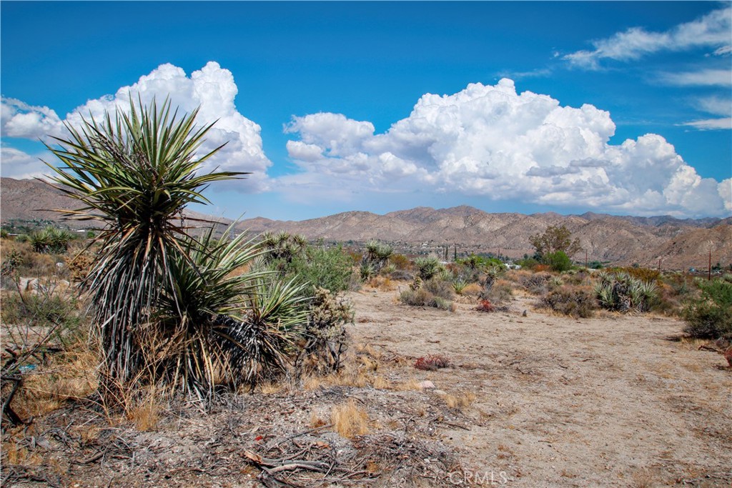 MLS #RS25195860 image #9