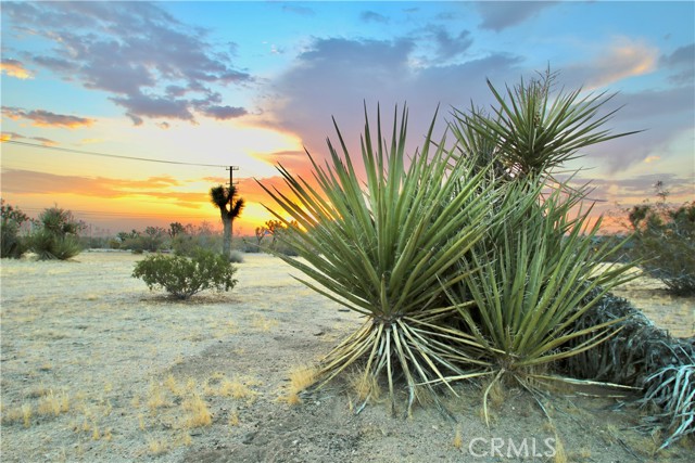 Detail Gallery Image 3 of 12 For 0 Forrest Dr, Yucca Valley,  CA 92284 - – Beds | – Baths