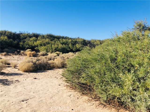 Detail Gallery Image 5 of 14 For 0 E of Mesquite Spr Rd, Twentynine Palms,  CA 92277 - – Beds | – Baths