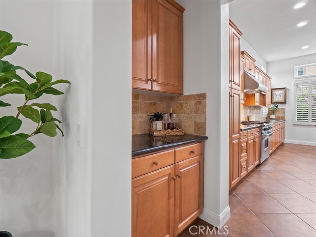 Image 11 of 60 For 25679 Smoketree